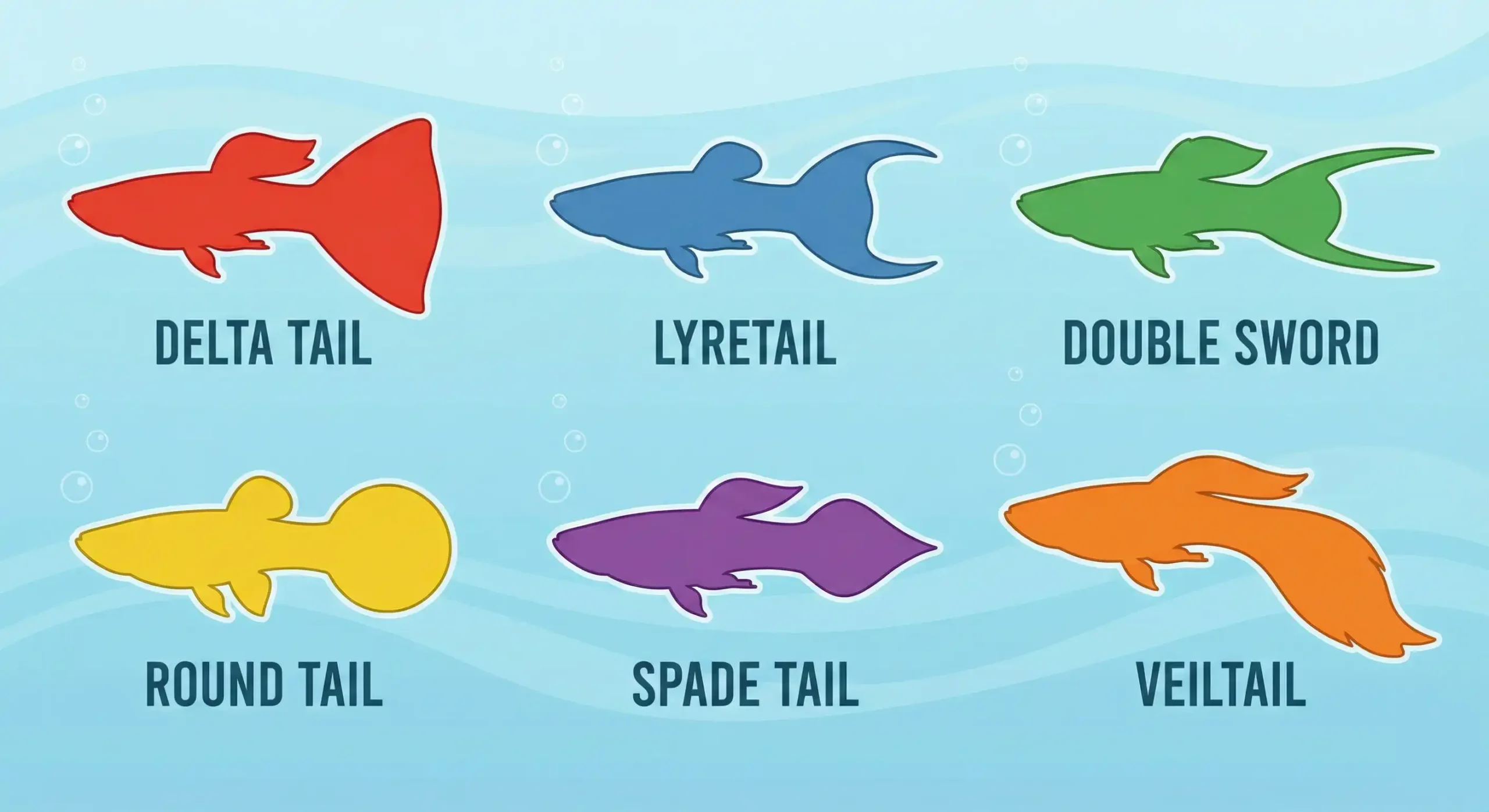 Fish Keeping My 13566